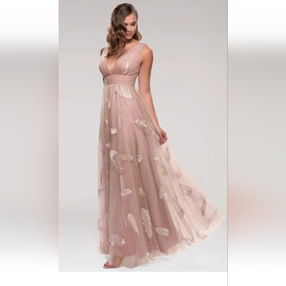 Blush Embroidered Tulle Maxi Dress 2x